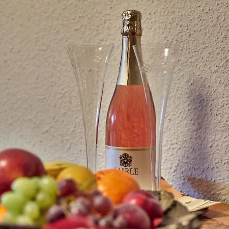 Hotel Donaublick Obernzell